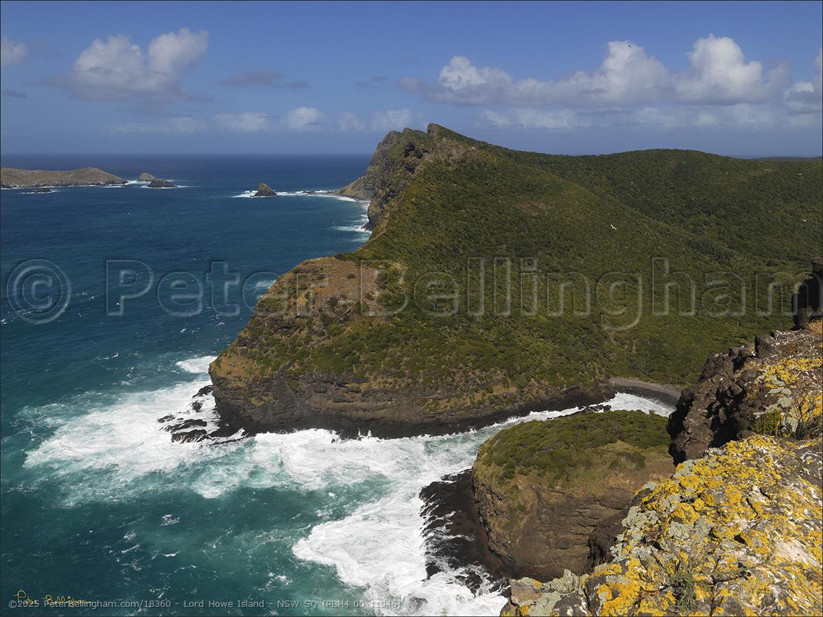 Peter Bellingham Photography Lord Howe Island - NSW SQ (PBH4 00 11946)